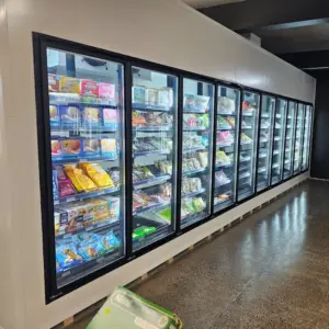 Glass door insert and shelving system