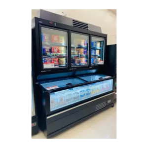 Combi Freezer
